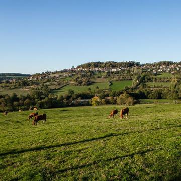 Pont des Romains de Venarey-Les Laumes
